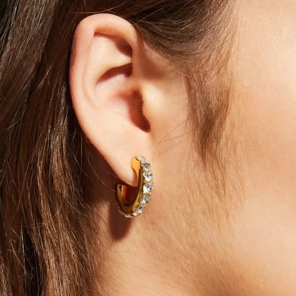 Lele Sadoughi Crystal Chubbie Pave Huggie  Hoops - Picture 5 of 7